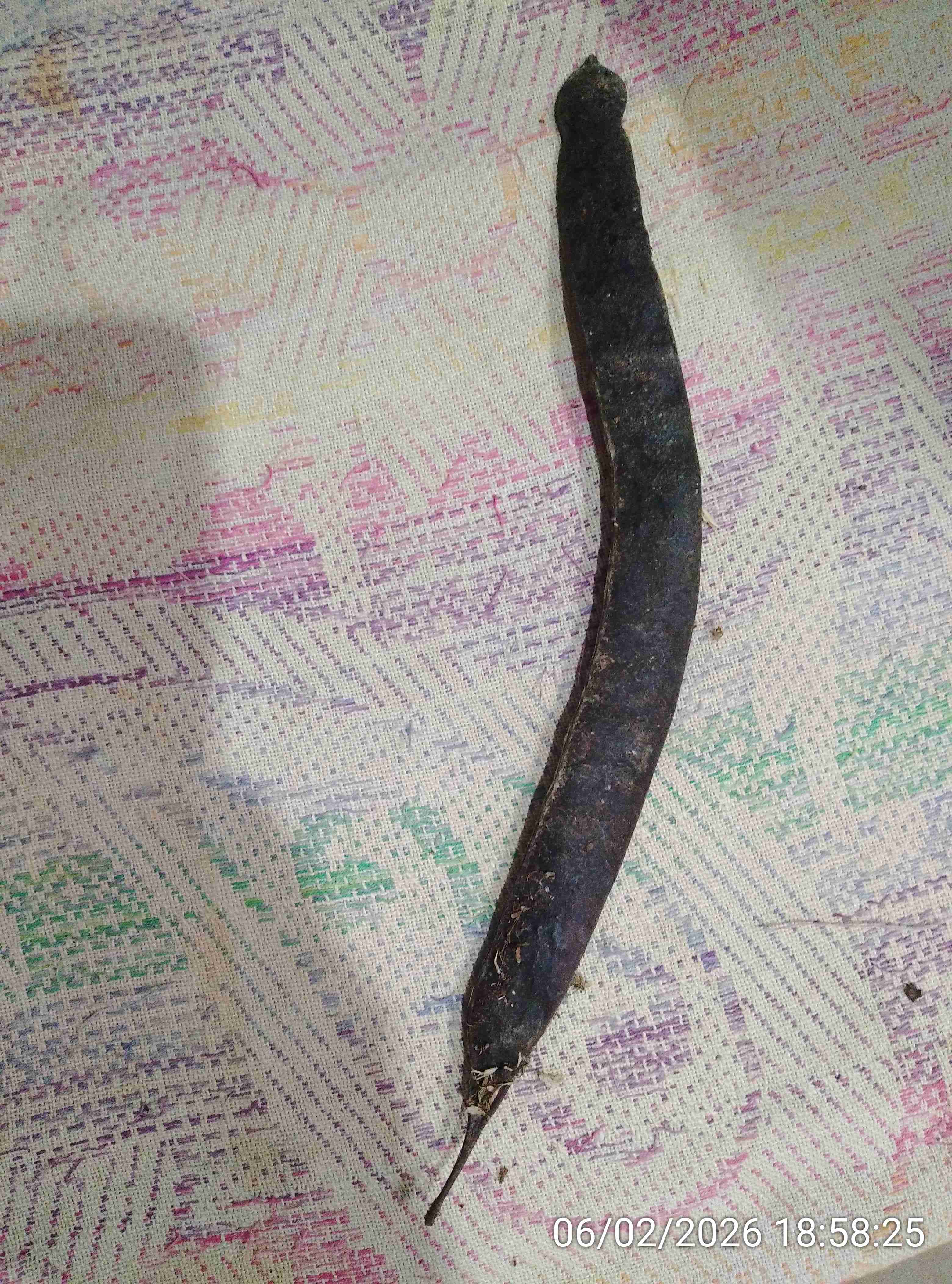 अबई
